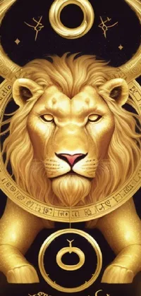Chin Felidae Lion Live Wallpaper