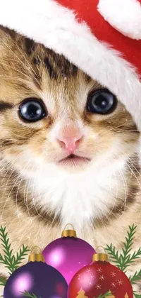 Christmas Ornament Cat Carnivore Live Wallpaper