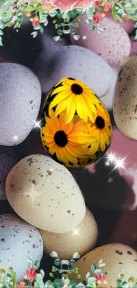 eggs Live Wallpaper