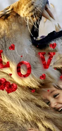 This live wallpaper features a charming scene of a young girl lovingly embracing a lion with the word "love" written across the image