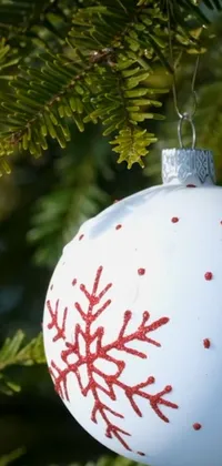 Christmas Ornament Light Botany Live Wallpaper