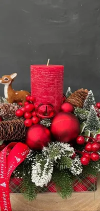 Christmas Ornament Plant Red Live Wallpaper