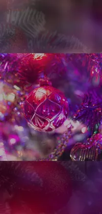 Christmas Ornament Purple Plant Live Wallpaper