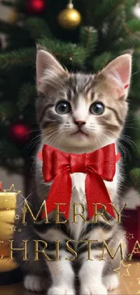 Christmas Tree Cat Light Live Wallpaper