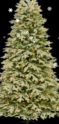 Christmas Tree Christmas Ornament Branch Live Wallpaper