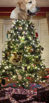Christmas Tree Christmas Ornament Dog Live Wallpaper