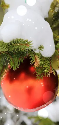 This stunning live wallpaper for your phone features a close-up of a festive Christmas ornament hanging from a tree branch
