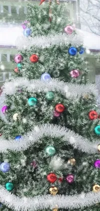 Christmas Tree Christmas Ornament Photograph Live Wallpaper