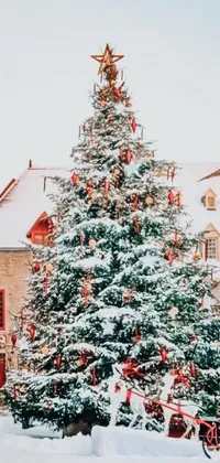 Christmas Tree Christmas Ornament Sky Live Wallpaper