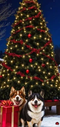 Christmas Tree Dog Plant Live Wallpaper