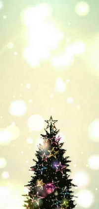 Christmas Tree Light Branch Live Wallpaper