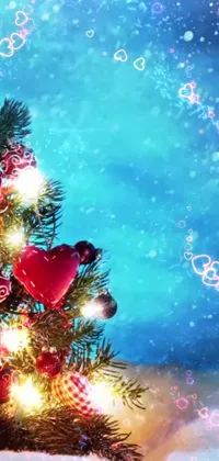 Christmas Tree Light Organism Live Wallpaper
