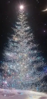 Christmas Tree Plant Atmosphere Live Wallpaper