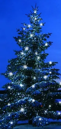 Christmas Tree Plant Blue Live Wallpaper