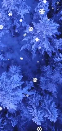 Christmas Tree Plant Blue Live Wallpaper