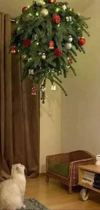 Christmas Tree Plant Dog Live Wallpaper