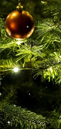 Christmas Tree Plant Light Live Wallpaper