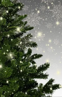 Christmas Tree Sky Christmas Ornament Live Wallpaper