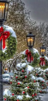 Christmas Tree Street Light Plant Live Wallpaper