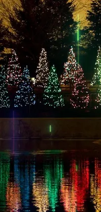 Christmas Tree Water Plant Live Wallpaper