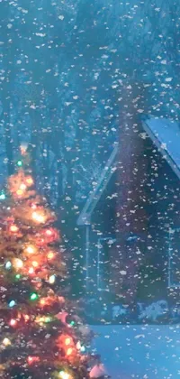Christmas Tree World Sky Live Wallpaper