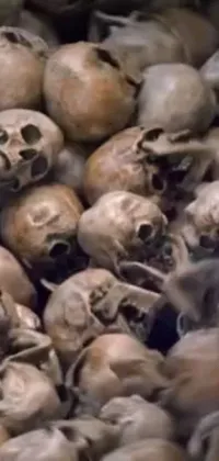This phone live wallpaper features a haunting image of numerous skulls piled atop each other against a dark background