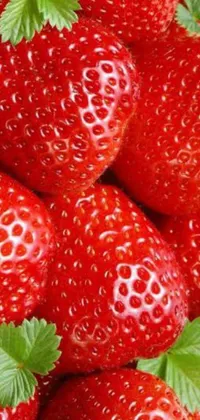 Closeup Food Berry Live Wallpaper