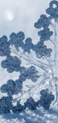 Looking for a stunning phone background that captures the essence of winter? Look no further than our latest live wallpaper, featuring a breathtaking snowflake perched atop a majestic, snow-covered landscape