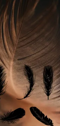 This exquisite live wallpaper showcases a stunning arrangement of feathers in warm black and brown hues