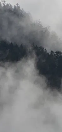 This live phone wallpaper showcases a mysterious and breathtaking landscape of a plane flying over a forest enveloped in thick fog