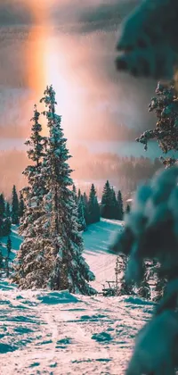 This phone live wallpaper displays a beautiful snowy landscape with pine trees as the foreground, ideal for the winter season
