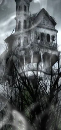 Looking for a dark wallpaper to add a touch of gothic beauty to your phone's interface? Check out this black and white image of a creepy old house, inspired by gothic art and rendered in 3D