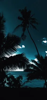This live wallpaper transports you to a serene beach setting with silhouetted palm trees against a dark blue sky