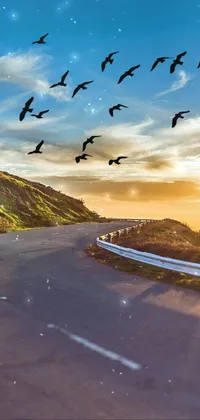 This live wallpaper for phones features a vivid image of a winding road surrounded by beautiful mountains