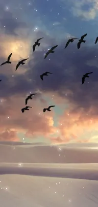 Cloud Bird Sky Live Wallpaper