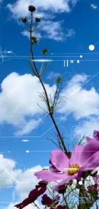 Cloud Flower Sky Live Wallpaper