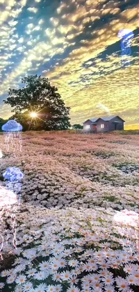 This live wallpaper brings tranquility with an animated field full of daisies and umbrellas under a cloudy sky, a serene beach scene with rolling waves and seagulls, jellyfish floating in a temple, a photograph of a mystical garden, and a pond with floating rose petals