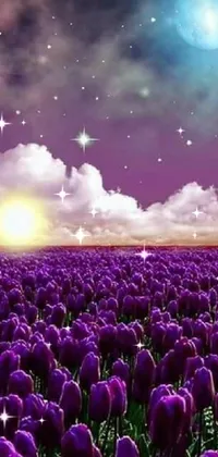 This phone live wallpaper features a beautiful field of violet tulips basking in the moonlight