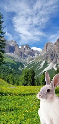 This phone live wallpaper showcases a white rabbit sitting over a lush green field with the beautiful backdrop of the Dolomites in Italy; the scene holds an ethereal and magical note
