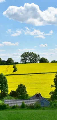 Cloud Plant Sky Live Wallpaper