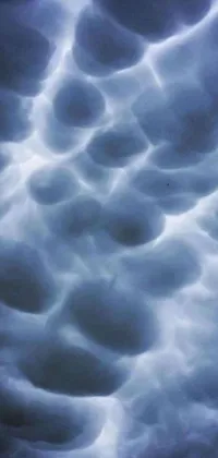 This live phone wallpaper features a collection of clouds in the sky, showing a microscopic photo of charybdis from the 90s