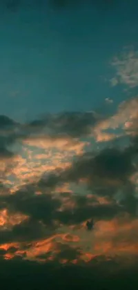 This live wallpaper features a beautiful scene of a plane flying through a cloudy teal sky during sunset