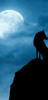 This live phone wallpaper depicts a majestic blue wolf standing atop a rocky outcropping under a full moon