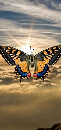 If you're searching for a mesmerizing live wallpaper for your phone, have a look at this surrealistic butterfly image