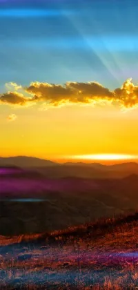 This phone live wallpaper showcases a spectacular sunset scene with the sun setting over distant mountains and rays of golden red sunlight illuminating the golden grasslands
