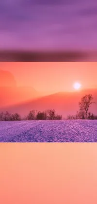 This phone live wallpaper features a snowy field with a stunning sunset in the background