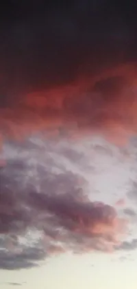 This live wallpaper showcases a fire hydrant on the roadside under a cloudy sky