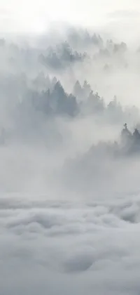 This live wallpaper features a stunningly realistic depiction of a wolf standing on a snow covered mountain