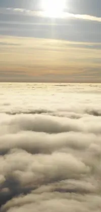 This stunning live wallpaper features a realistic image of a plane flying above white clouds on a sunny day