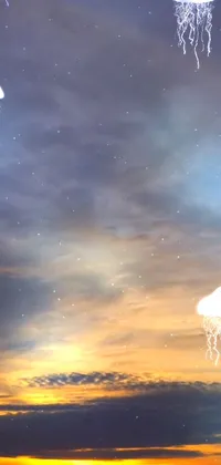 Looking for a mesmerizing phone live wallpaper? Check out this group of jellyfish floating on top of a body of water, set against a dreamy backdrop of light and clouds